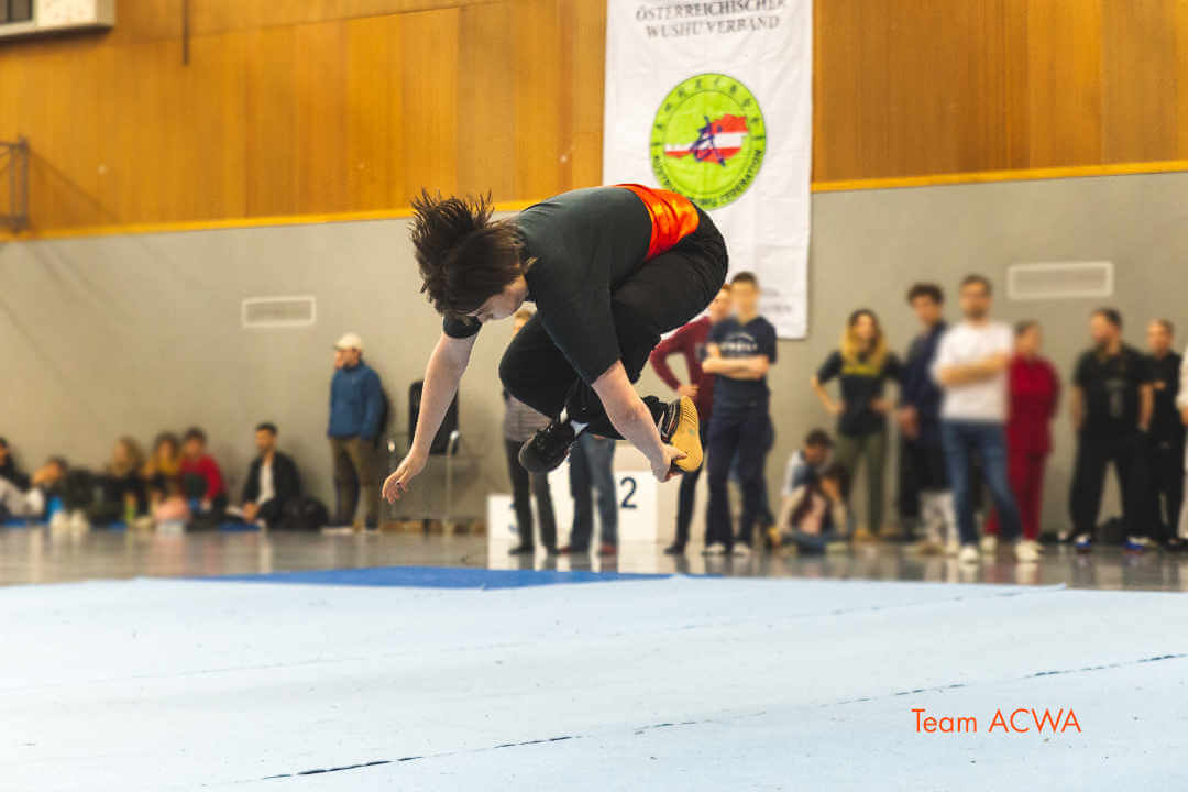 wushu-meisterschaft-2019