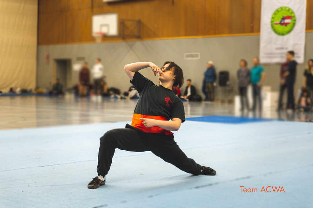 wushu-meisterschaft-2019